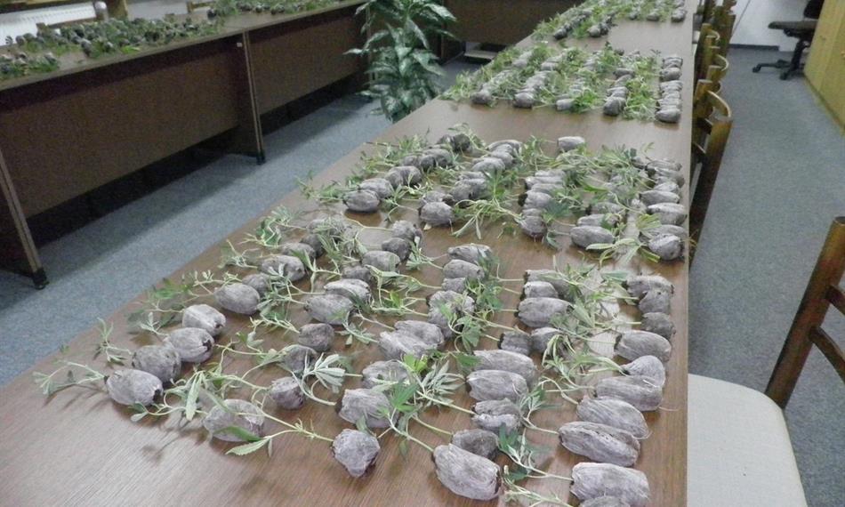 2011-7-28-133Snímek 014.jpg